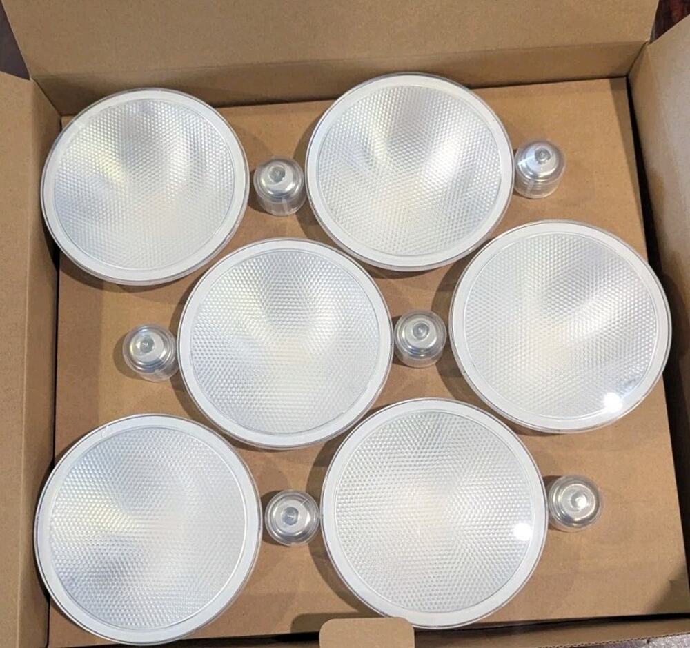 Daylight LED Outdoor Floodlight Bulbs 12 GE 90 Watt PAR38 Bright 900 Lumens